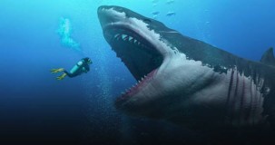 Megalodon en yakından nasıl görünür?
